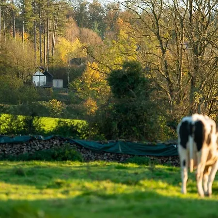 شاليه Inarden Yellowstone