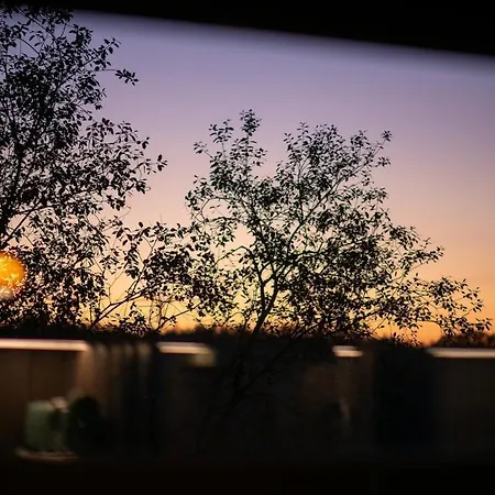 شاليه Inarden Yellowstone *