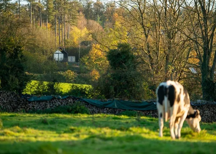 Chalet Inarden Yellowstone