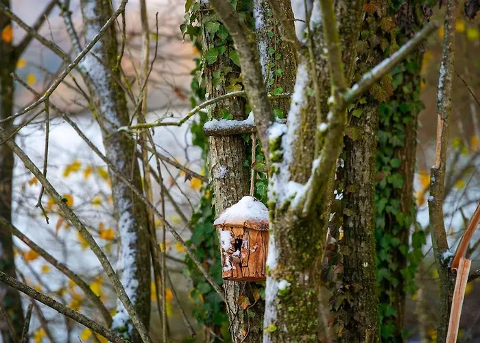 Inarden Yellowstone * Durbuy